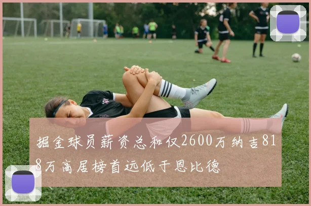 掘金球员薪资总和仅2600万纳吉818万高居榜首远低于恩比德