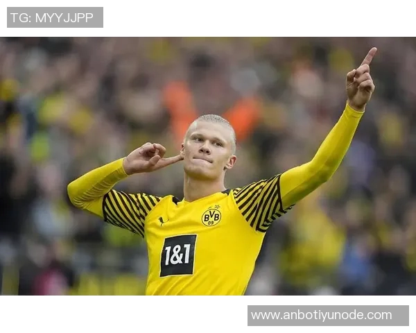 五大联赛11月进球榜揭晓B费领衔哈兰德姆巴佩紧随其后 五大联赛11月进球榜揭晓B费领衔哈兰德姆巴佩紧随其后